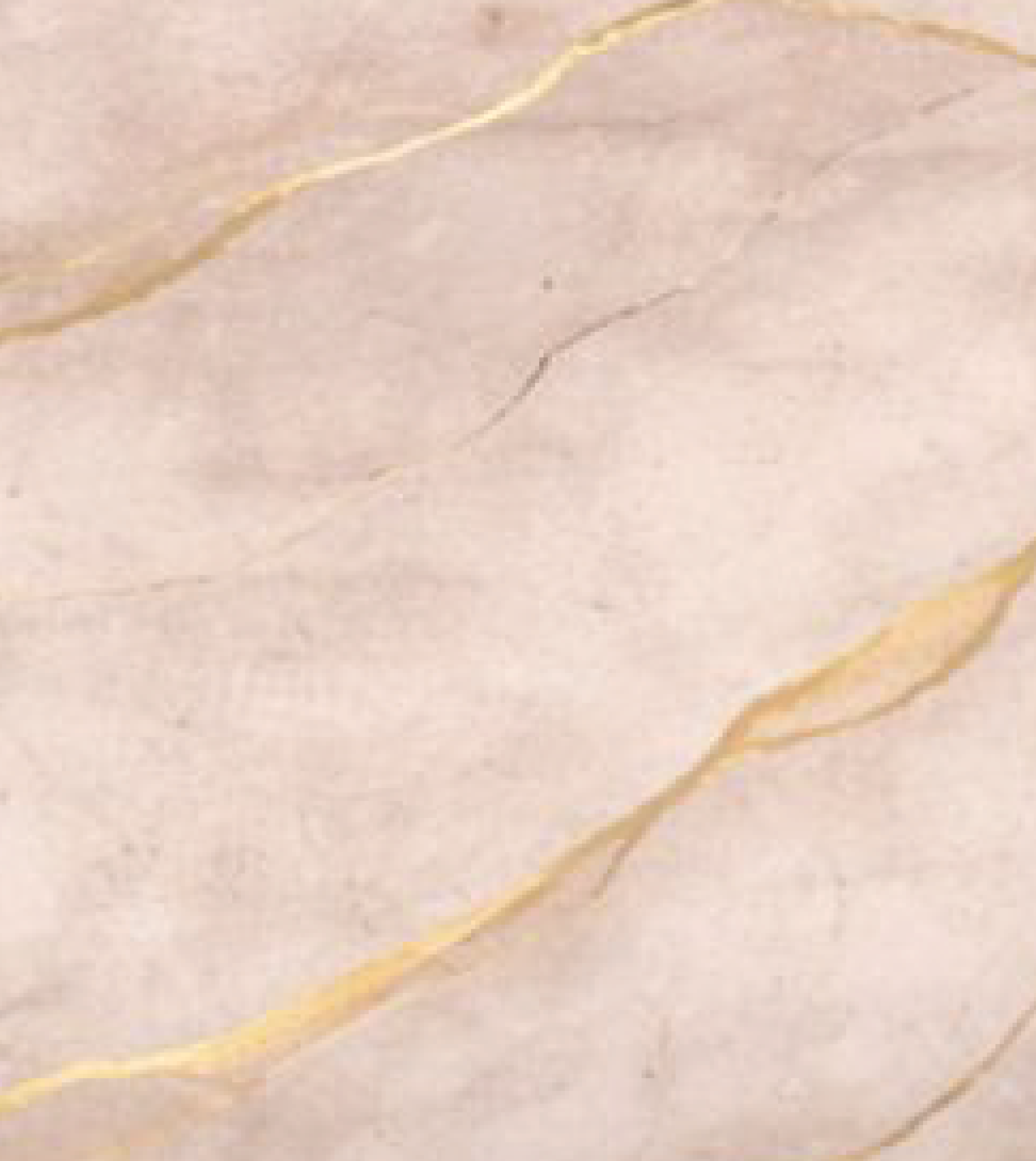 gold&grey marble